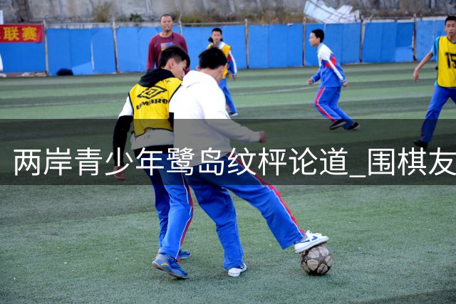 两岸青少年鹭岛纹枰论道 围棋友谊赛点燃文化交流新火花