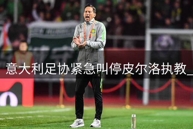 意大利足协紧急叫停皮尔洛执教 政治博弈引发足坛地震