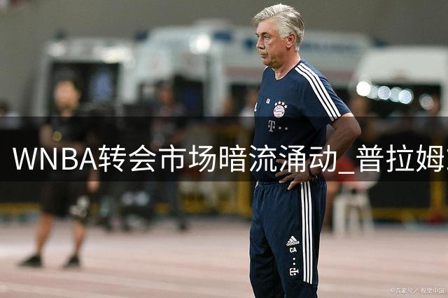 WNBA转会市场暗流涌动 普拉姆或成勇士女武神争冠关键拼图